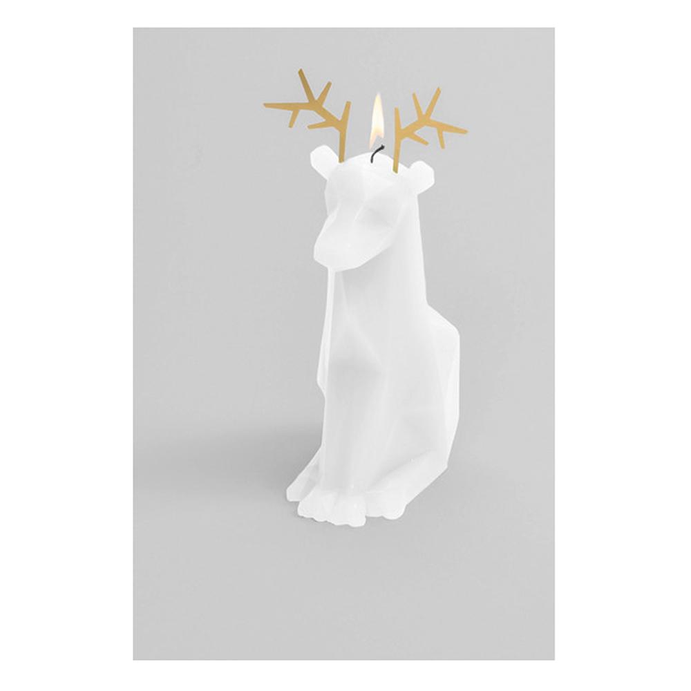 Pyro Pet Candle Dyri White Paraffin Wax Candle with Skeleton
