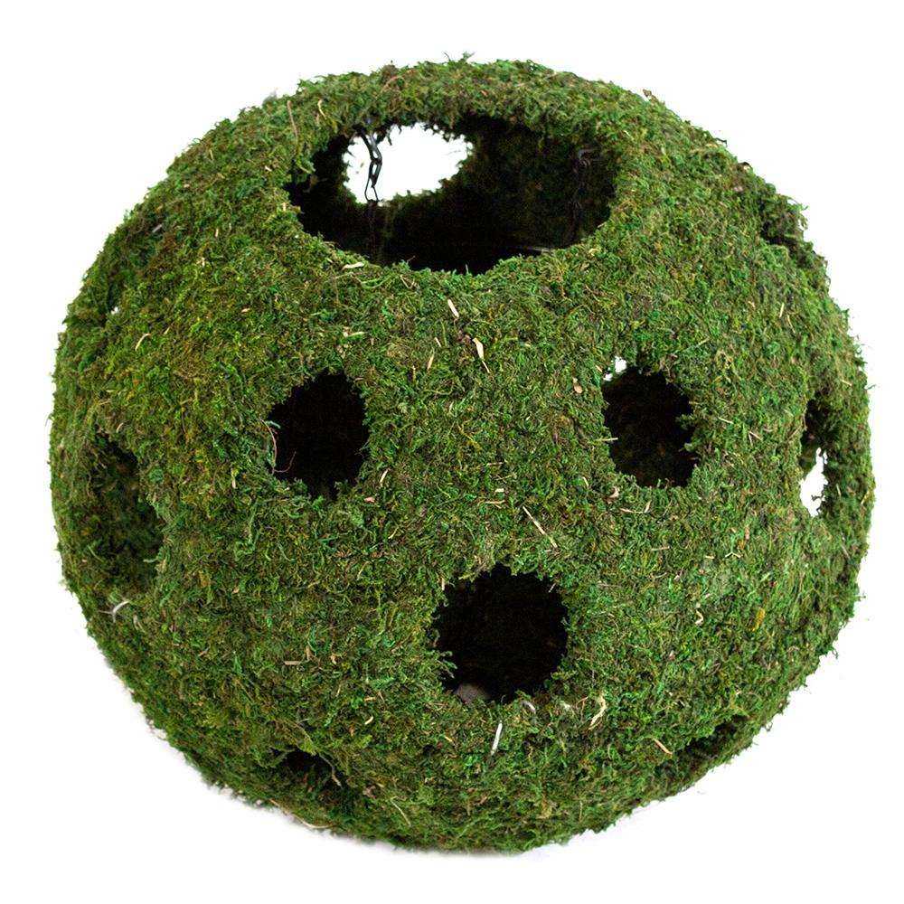 Galapagos Hanging Mossy Cave with Holes Large for Terrariums