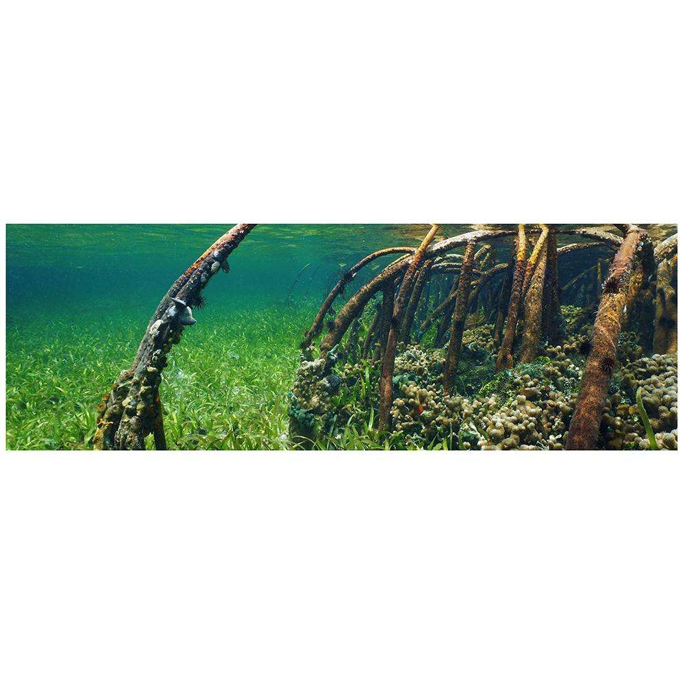 Galapagos Mangrove Cling Aquarium Background 10 Gallon