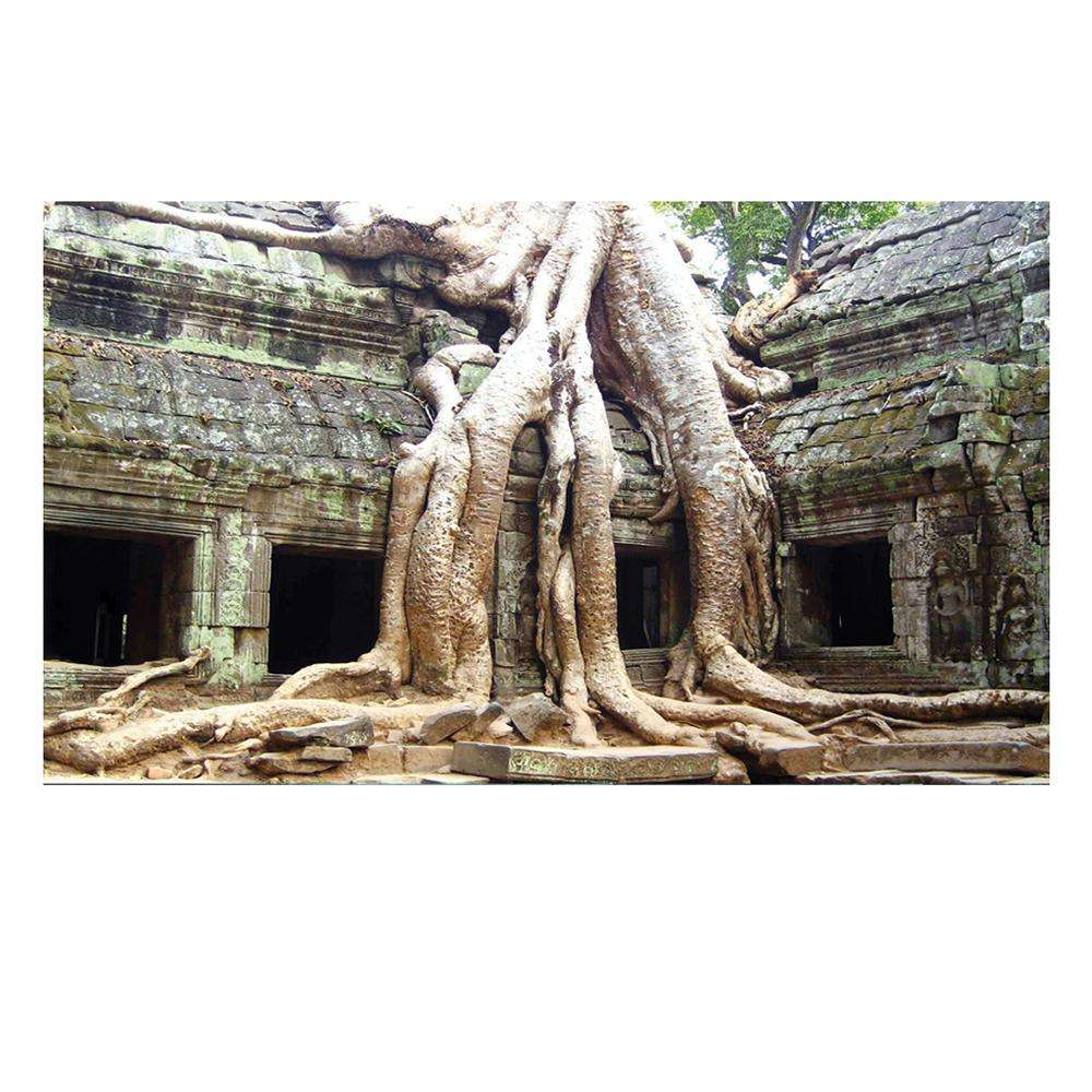 Ancient Ruins Aquarium Terrarium Vinyl Background 30x13