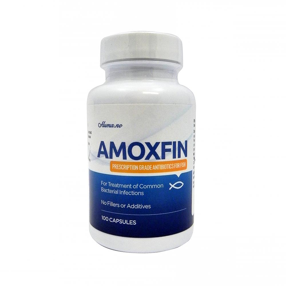 Amoxfin 500mg 100 count
