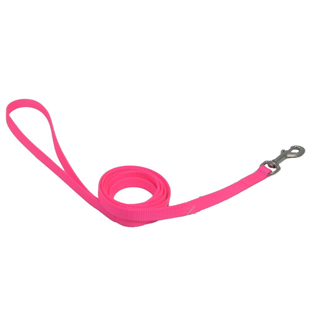 Nylon Dog Leash 3/8-inch x 4 foot Neon Pink