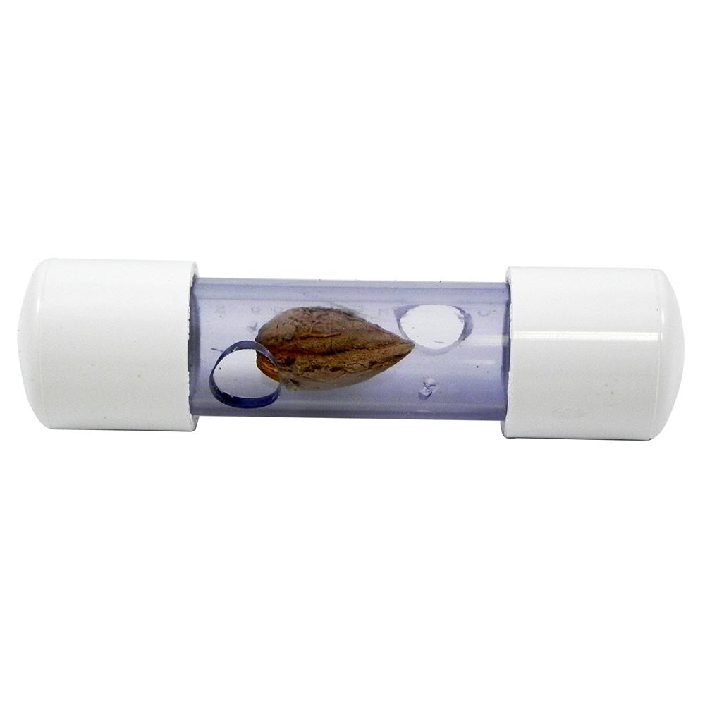 Busy Boo's Foraging Treat Tube Toy for Parrots