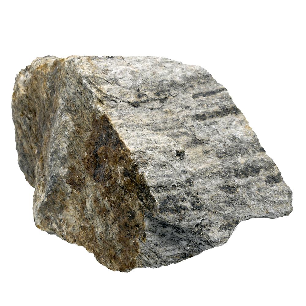 Real Petrified Wood Rock Aquascaping Terrarium Decor 1Lb.