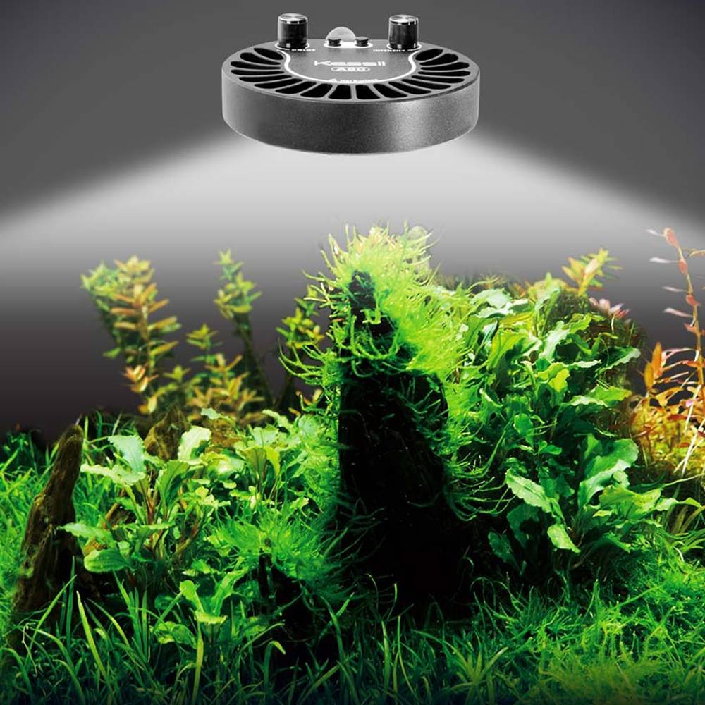 Kessil A80 Tuna Sun High Density LED Aquarium Light