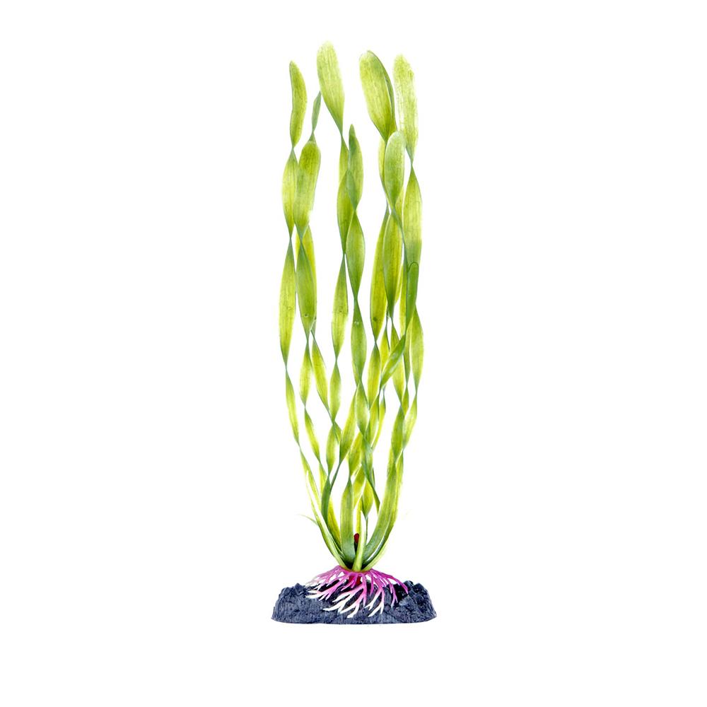 Corkscrew Vallisneria Medium Sinking Plastic Aquarium Plant