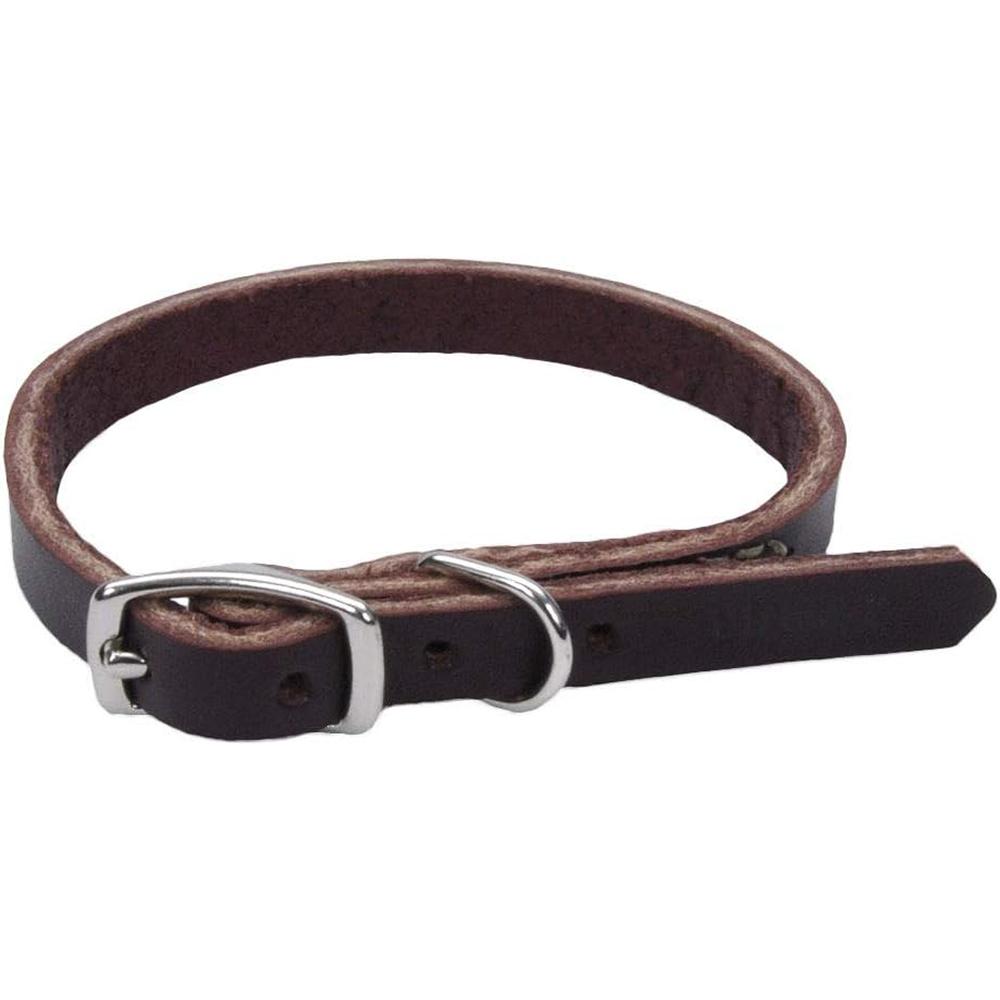 Circle T Latigo Single Layer Leather Dog Collar 12 inch