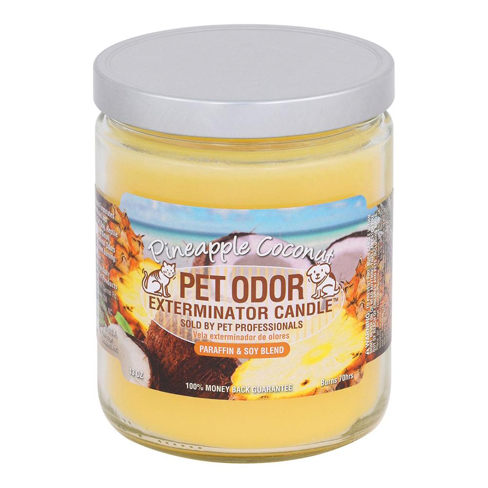 Pet Odor Eliminator Pineapple Cocconut Candle