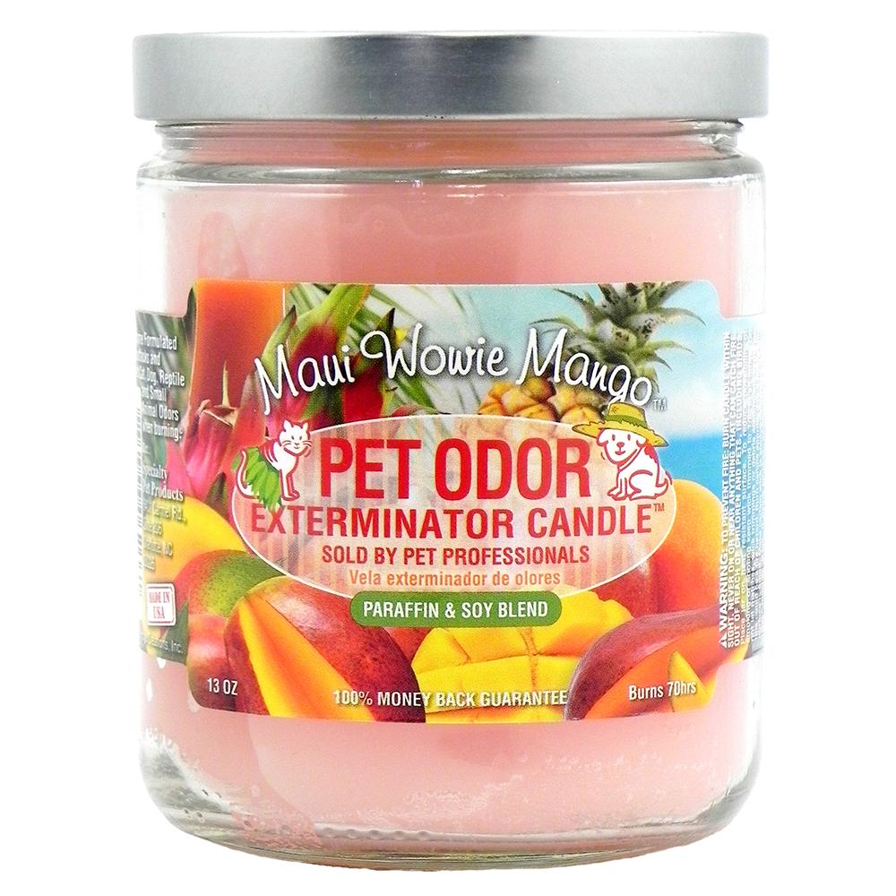 Pet Odor Eliminator Maui Wowie Mango Candle