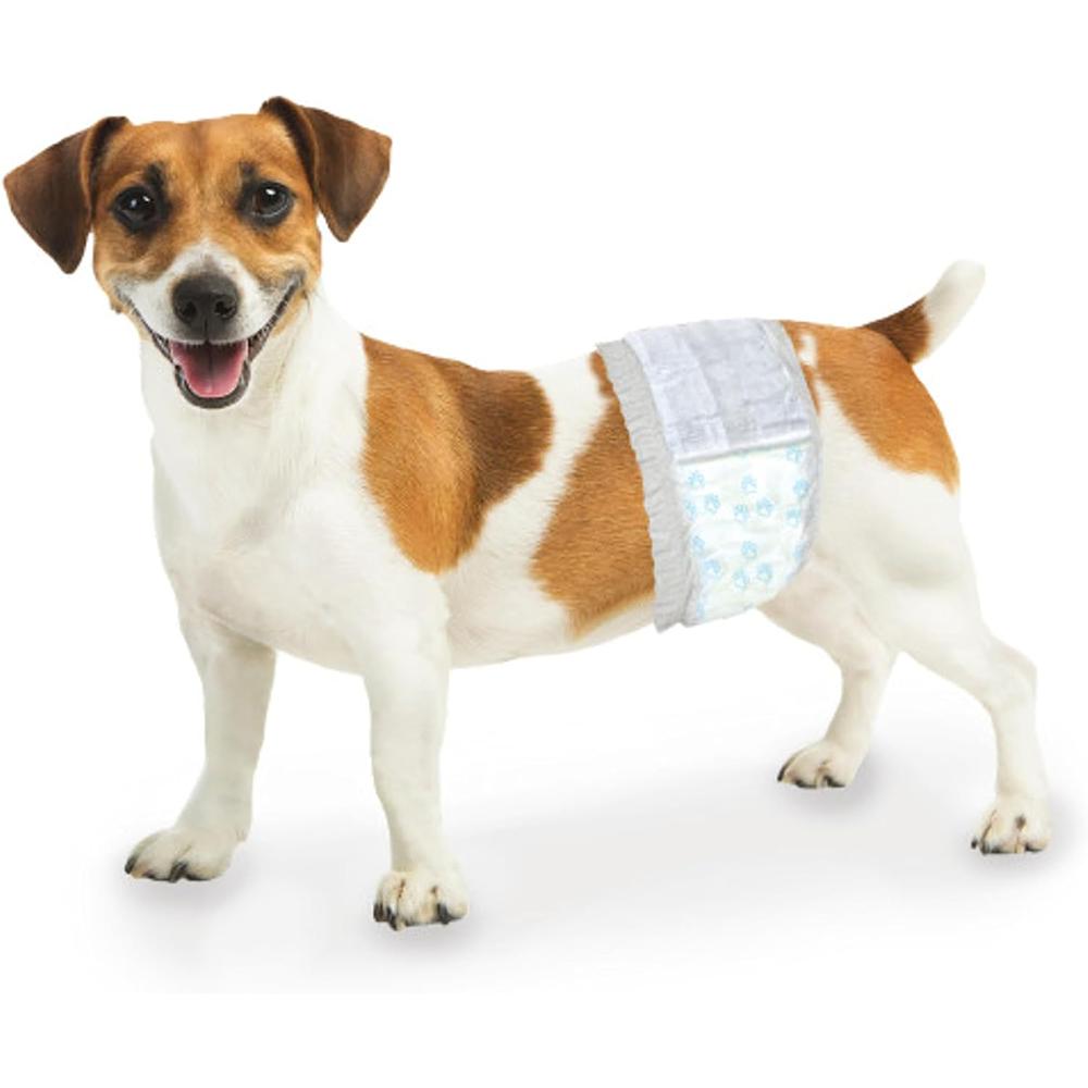 Wee Wee Diaper Garment Male Dog Wrap Disposable XS/S 12pack
