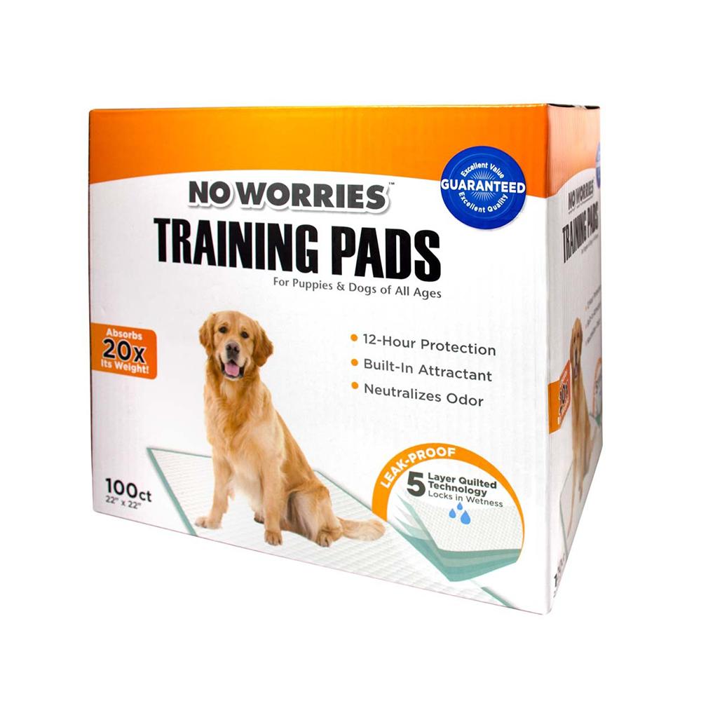No Worries Puppy Pads 100 Count Box Puppy Housebreaking