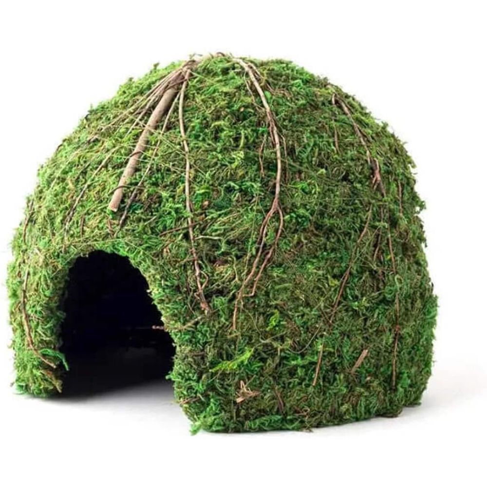 Galapagos Mossy Dome Large 9-inch Terrarium Decoration