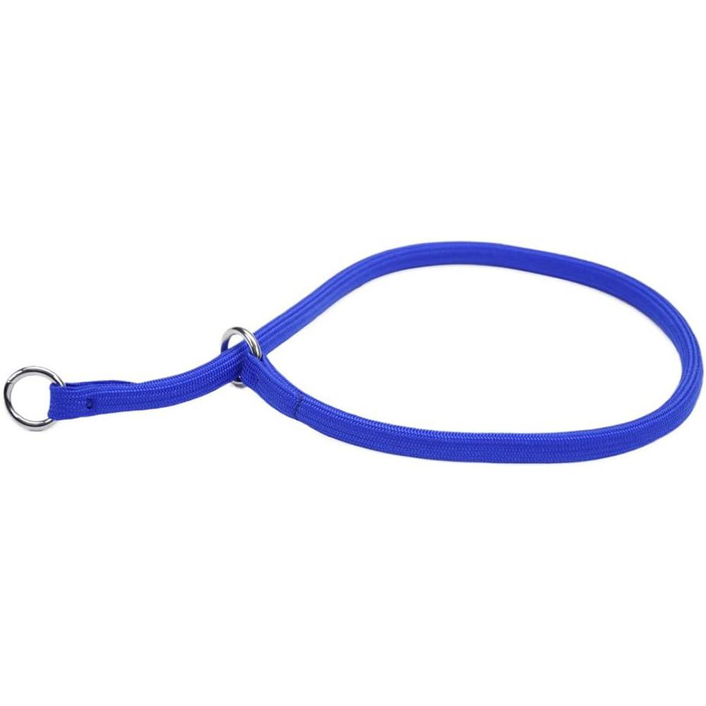 Nylon Dog Choke Blue Collar 14in