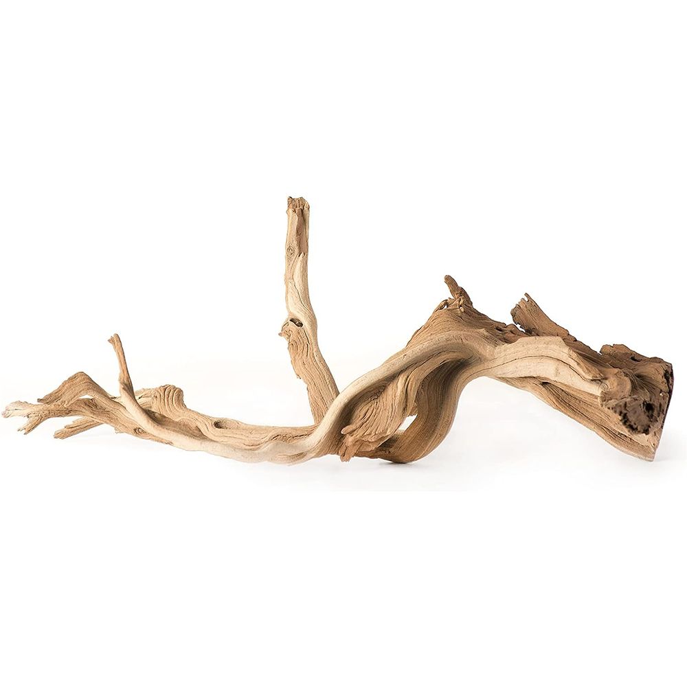 Galapagos Natural Staghorn Wood Root