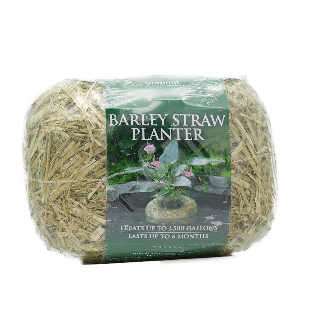 Clear Water Barley Medium Pond Planter up to 1500G