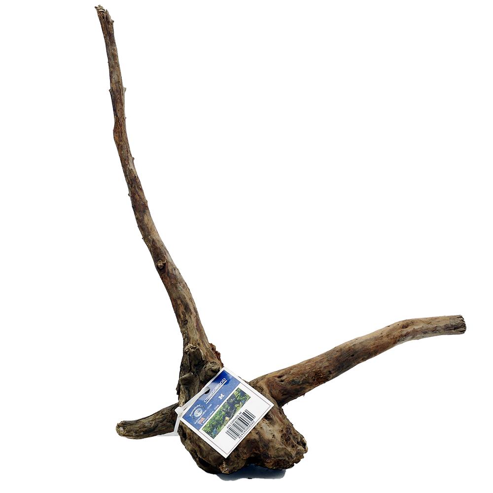 Congo Wood Medium 8- 10-inches