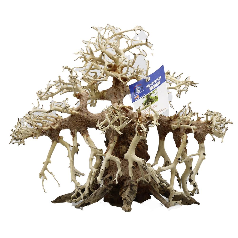 Dragonwood 12-inch Medium