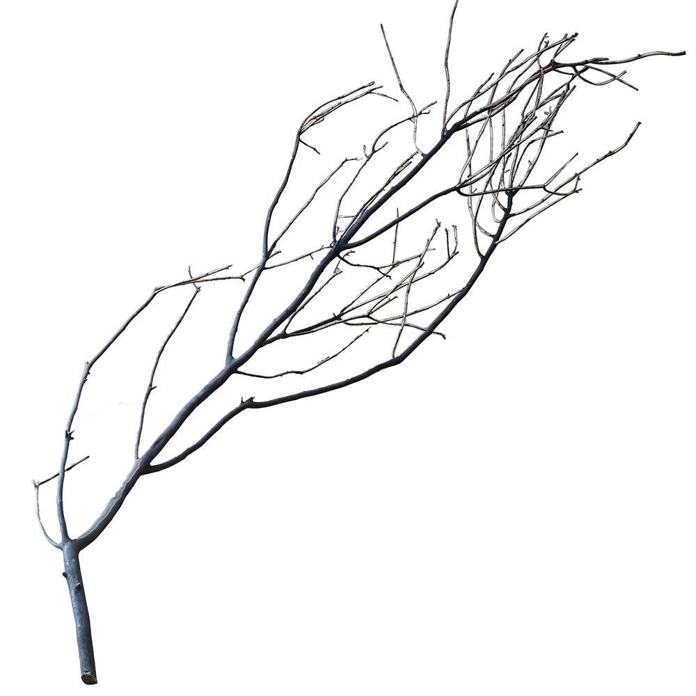 Manzanita Branch 36-inch