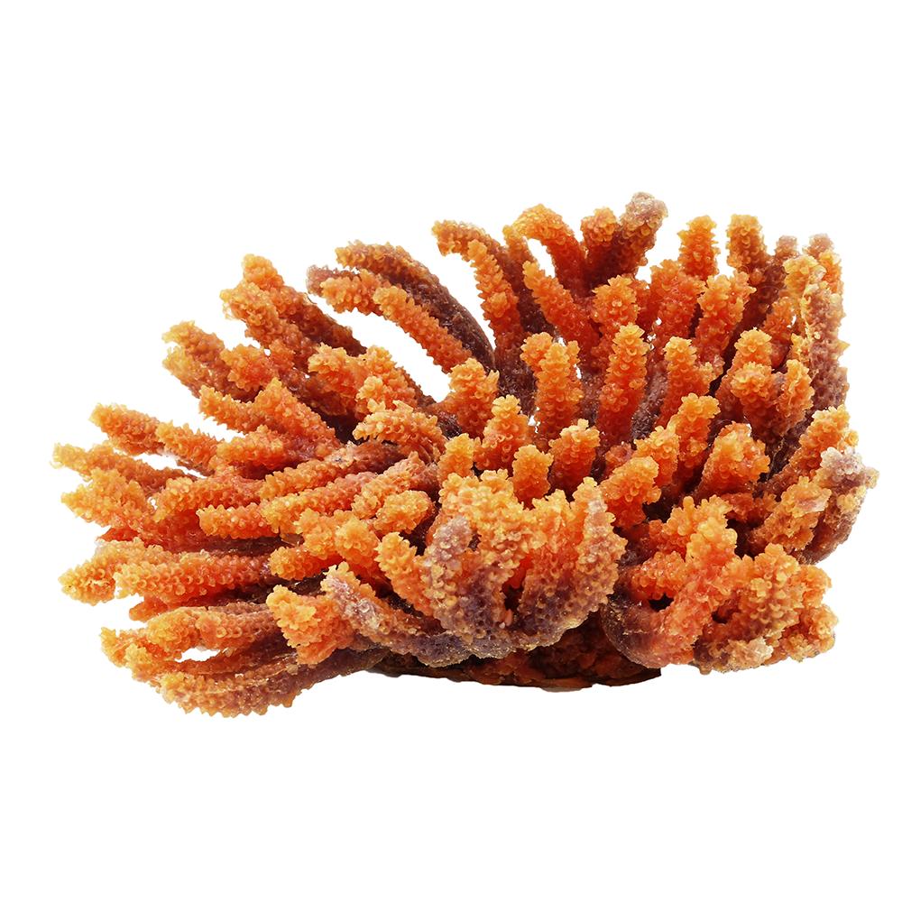 Red Acro Decorative Coral Aquarium Ornament 8-inch