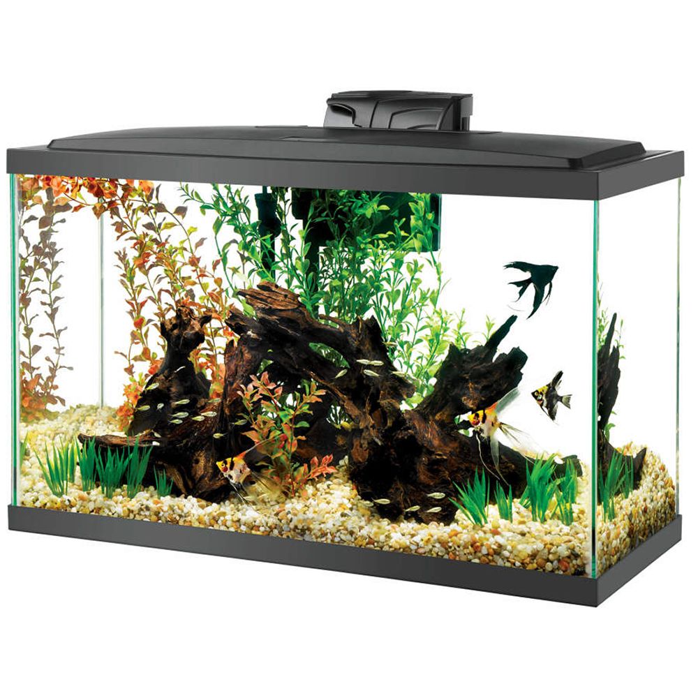 Aqueon 29 Gallon LED Aquarium Kit