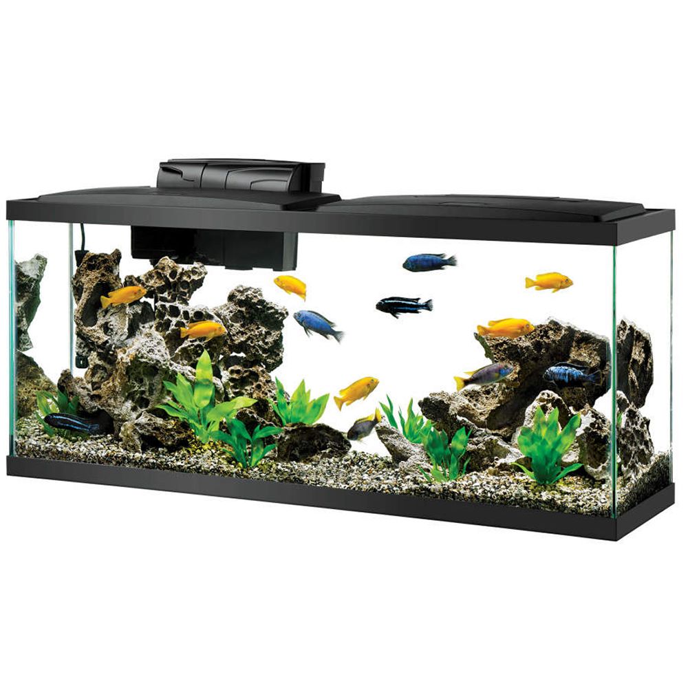 Aqueon 55 Gallon LED PrePrcd