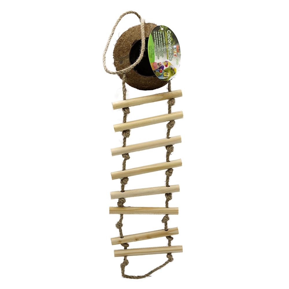 Bird Life Coconut Hide Bird Ladder