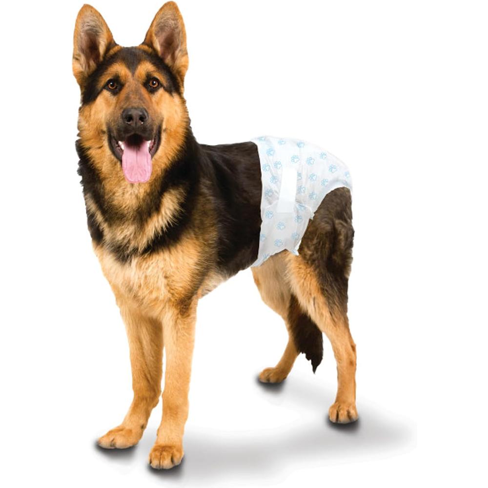 Wee Wee Diaper Garment Dog Diaper Disposable L/XL 12pack