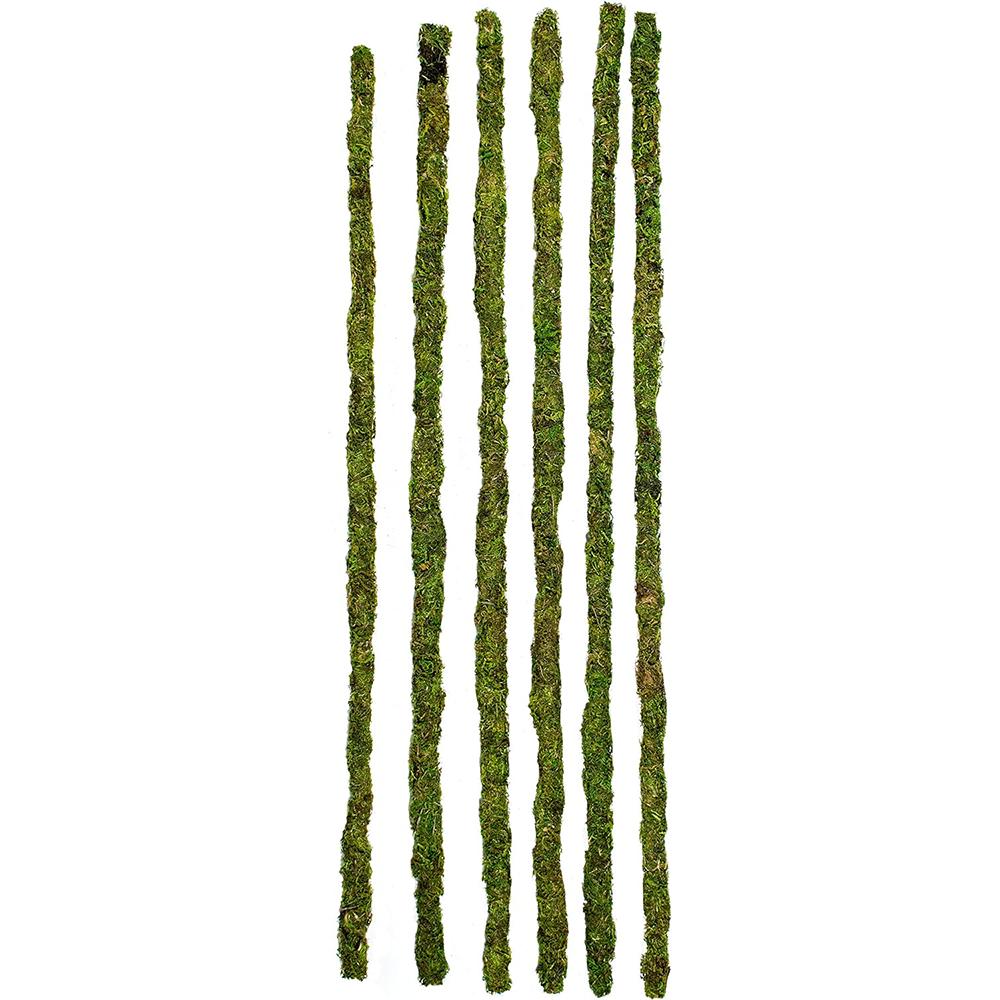 Galapagos Mossy Sticks 32in