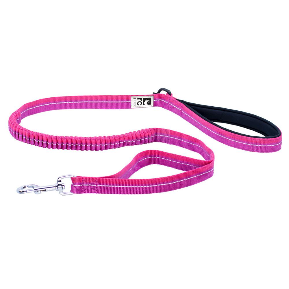 Bungee Mulberry Pink Traffic Leash for Dogs 4Ft x 1-inch