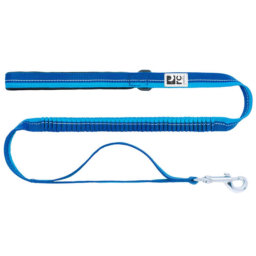 Bungee Arctic Blue Traffic Leash for Dogs 4Ft x 1-inch