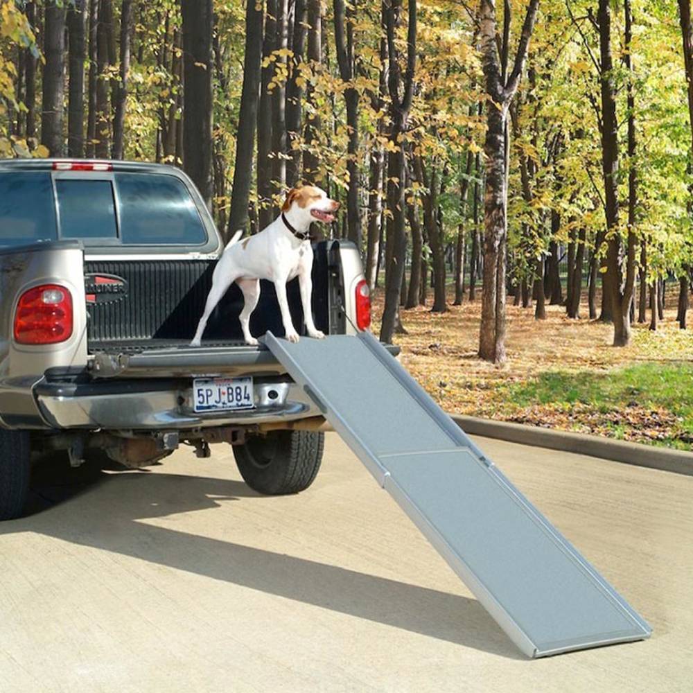 Pet Ramp Telescoping XL Petsafe Indoor Outdoor