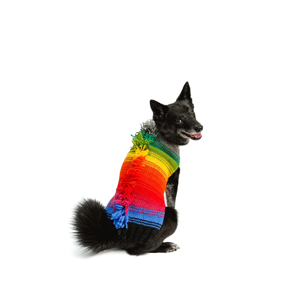 Handmade Dog Sweater Rainbow Mowhawk Small