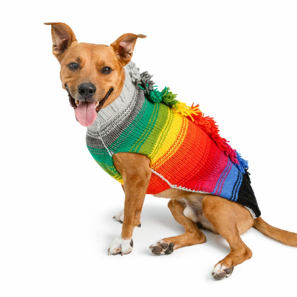 Handmade Dog Sweater Rainbow Mowhawk Large