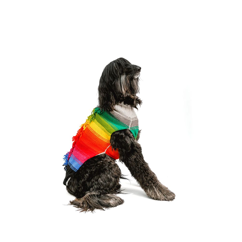 Handmade Dog Sweater Rainbow Mowhawk XXLarge