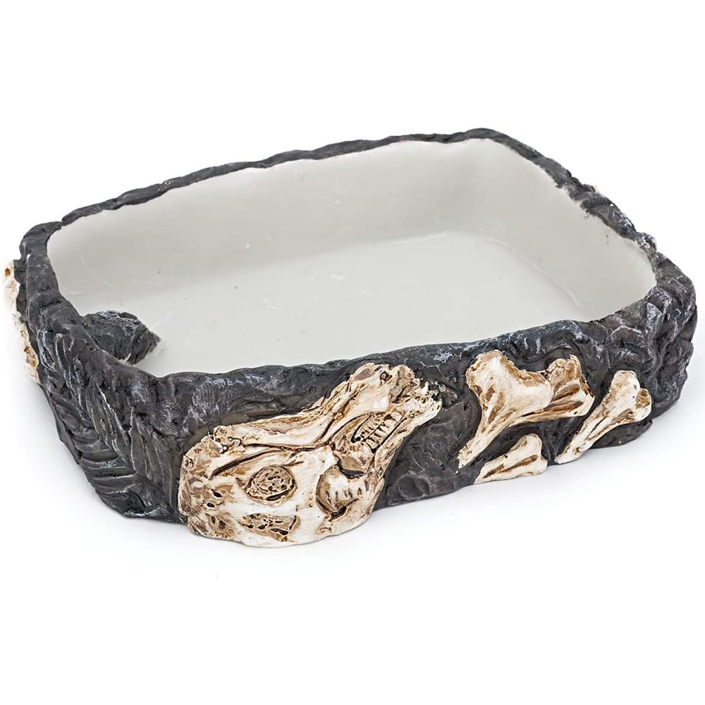 Fossil Rock Feeder Medium Food and Water Reptile Dish