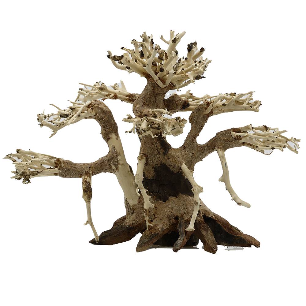 Dragonwood 6-inch