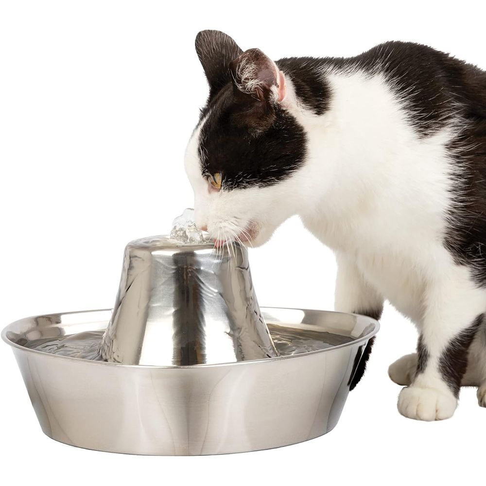 PaeSafe Stainless Drinking Fountain 60oz