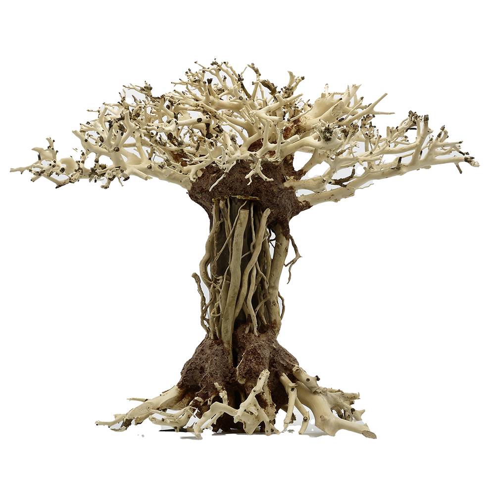 Yocemite Tree 12 inch