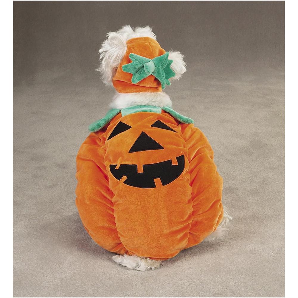 Zack and Zoey Pumpkin Pooch Dog Costume XSmall