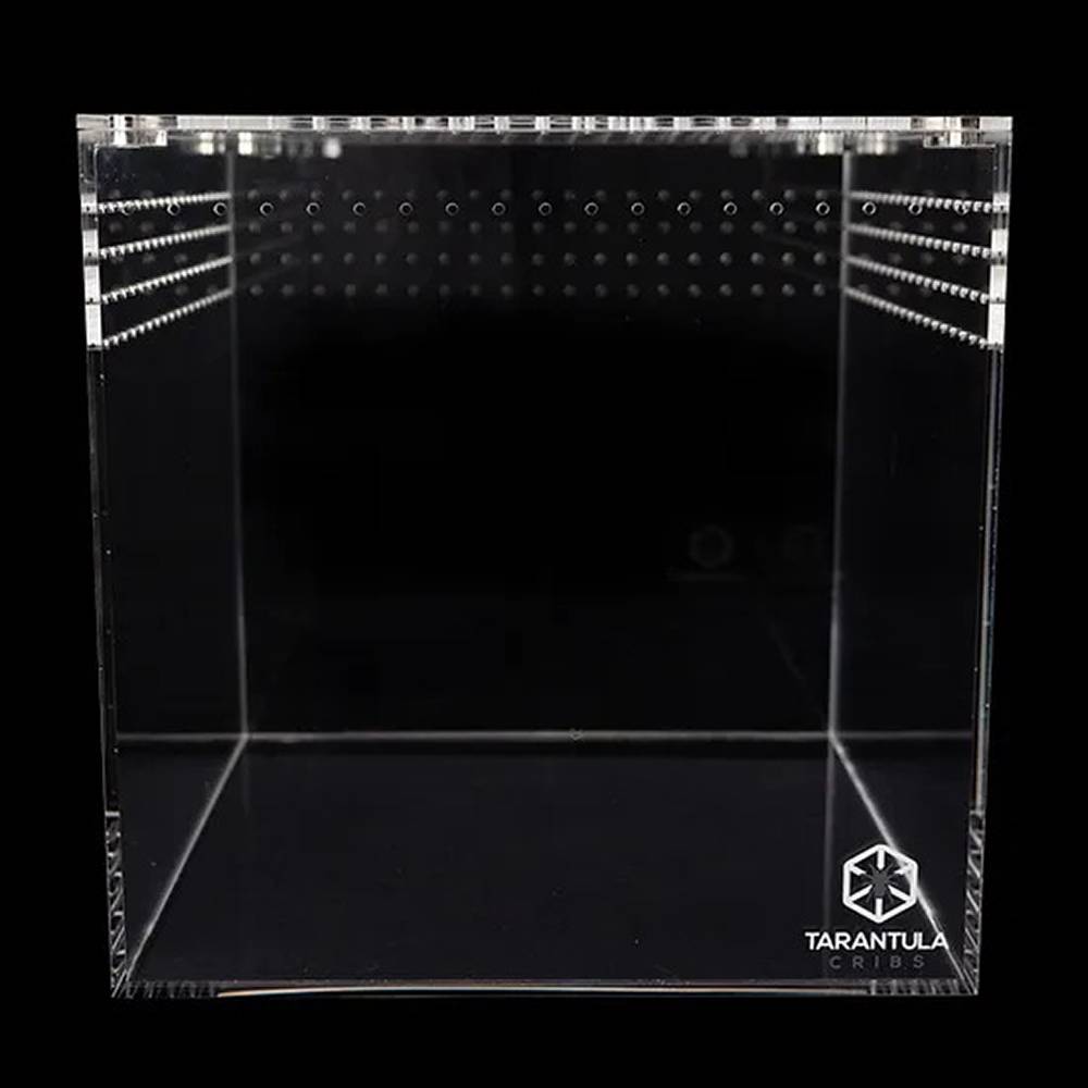 Tarantula Cribs XL Cube 12 inch