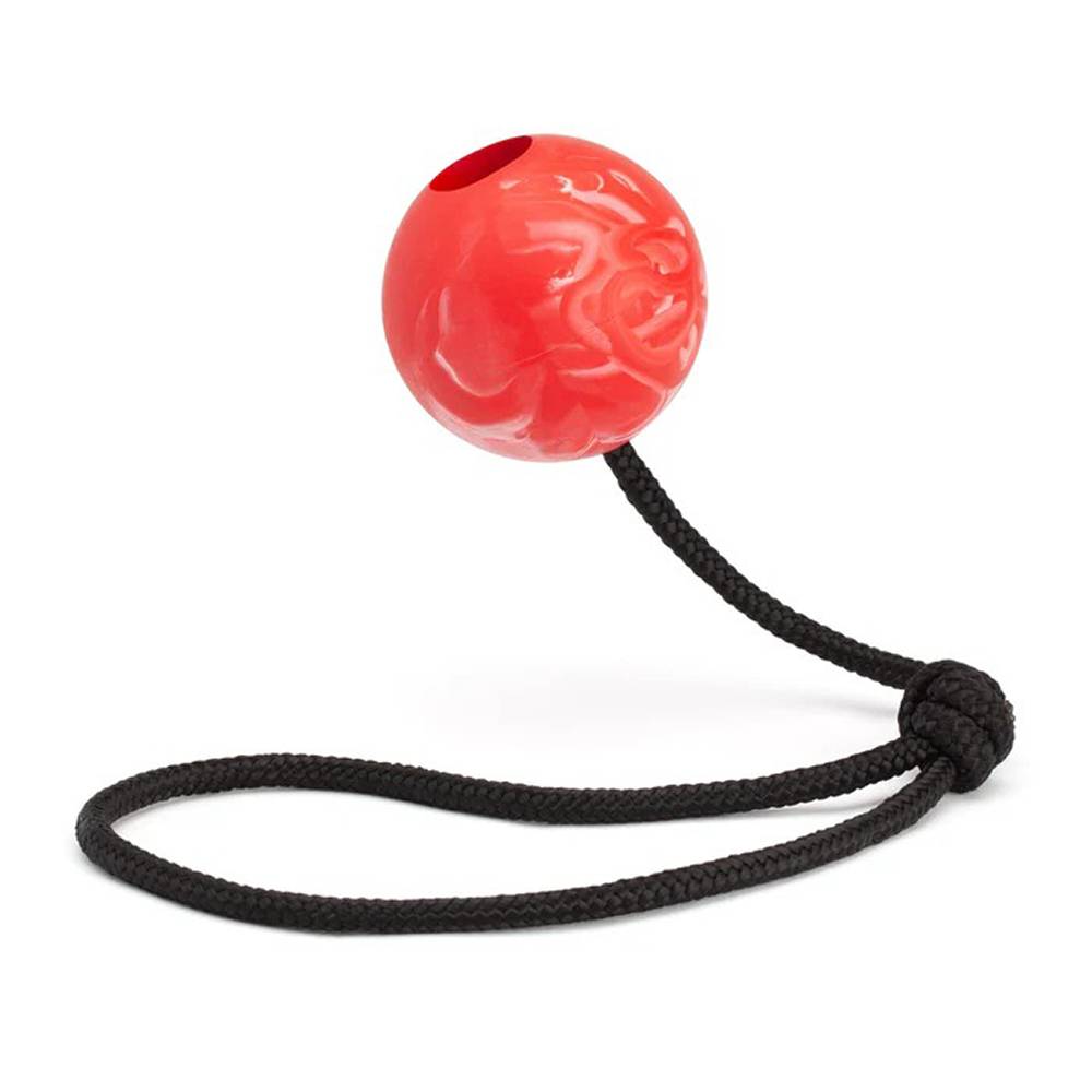 Rubber Euro Ball with Rope 2.75 in for Dogs