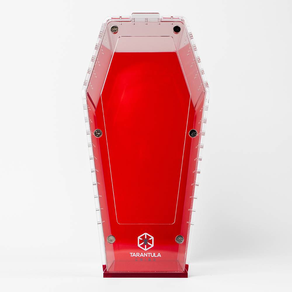 Tarantula Cribs Coffin Mini Red 6x3x3