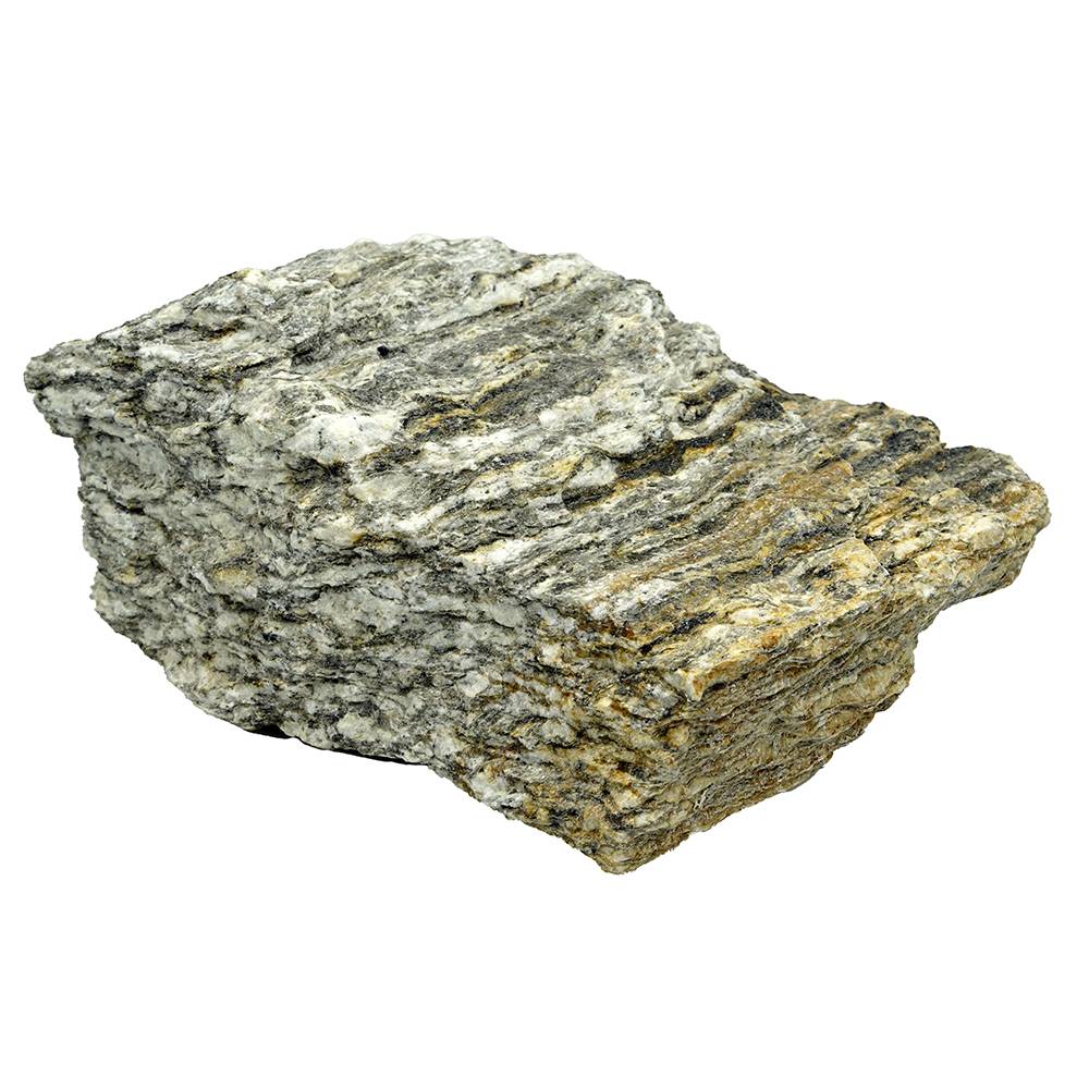 Exotic Blue Petrified Wood 1Lb.