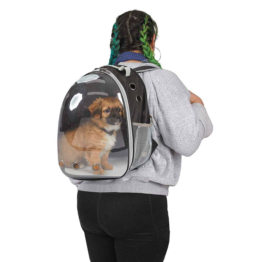 Cruising Companion Pet Carrier Bag Bubble View