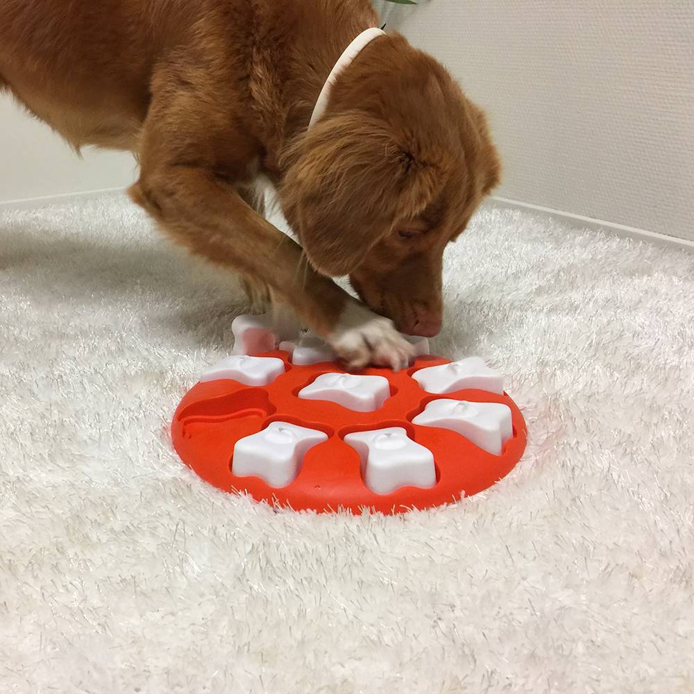 Nina Ottosson Paw and Nuzzle Dog Smart Puzzle for Dogs
