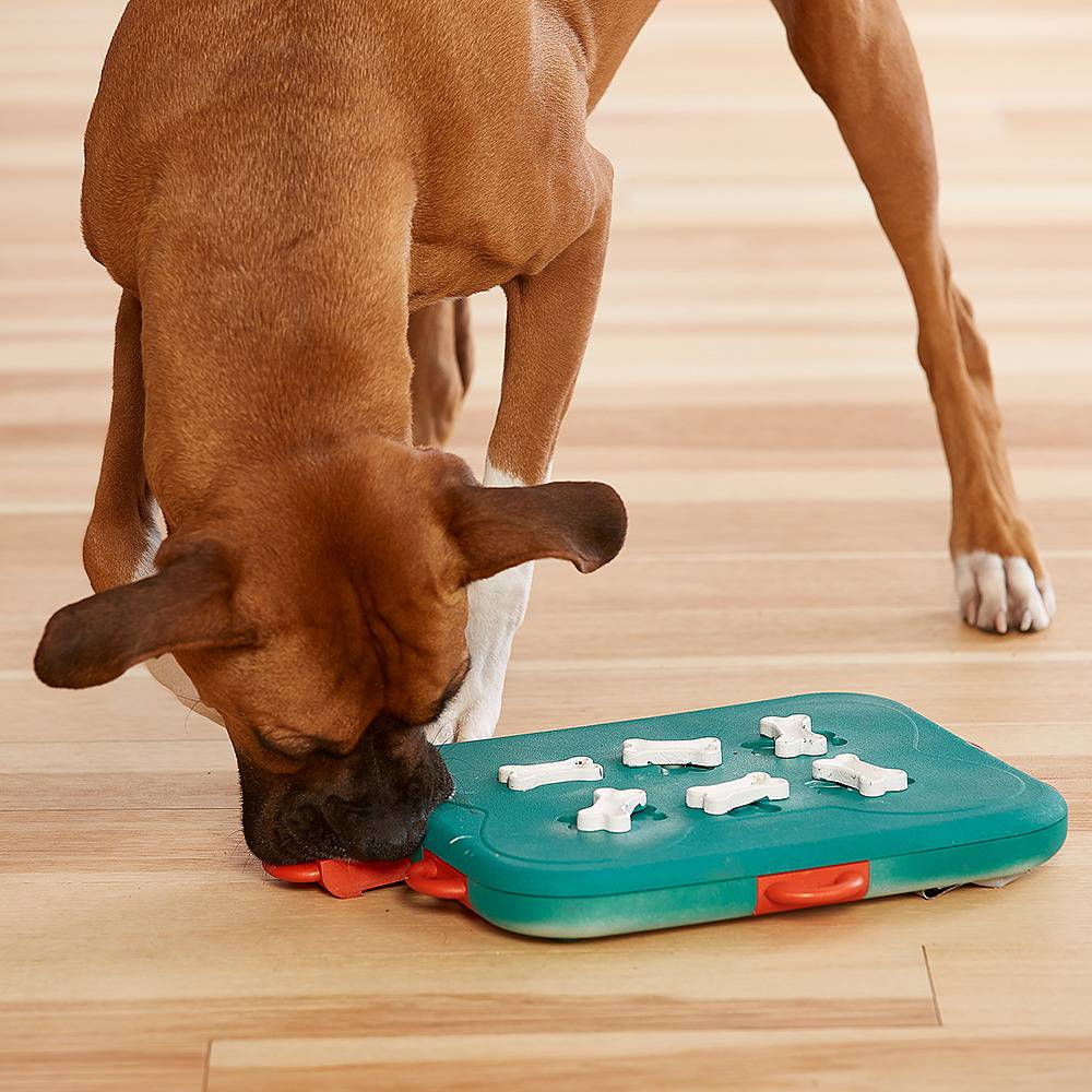 Nina Ottosson Dog Casino Puzzle Level 3 for Dogs