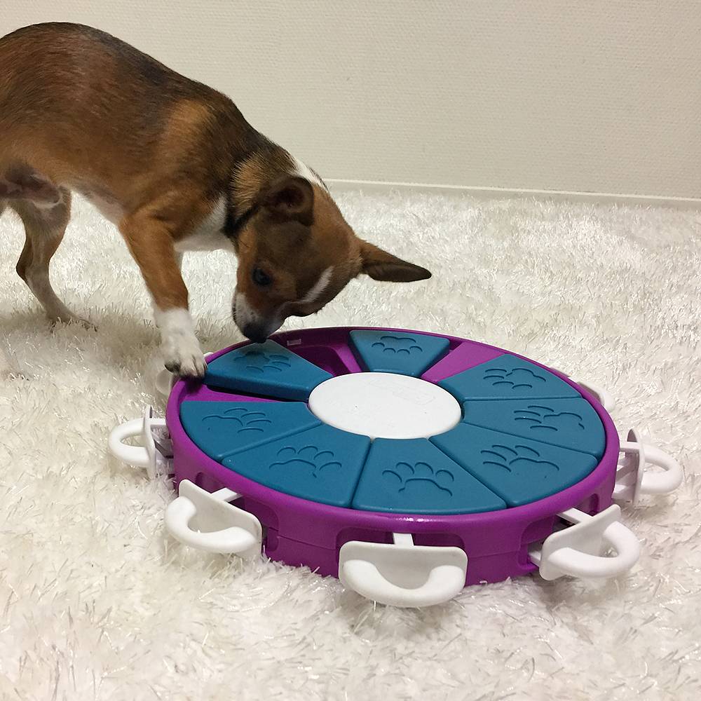 Nina Ottosson Dog Twister Puzzle Level 3 for Dogs