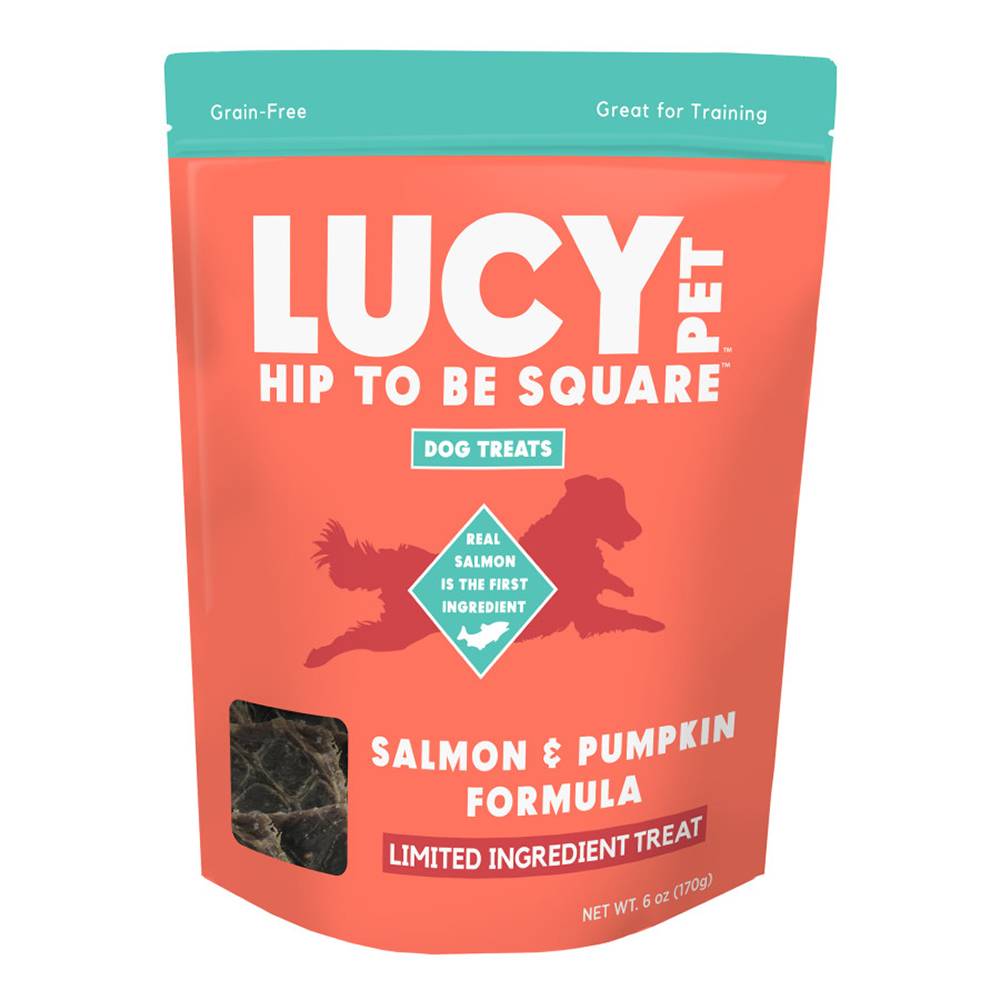 Lucy Pet Hip to be Square Salmon and Pumpkin 6oz
