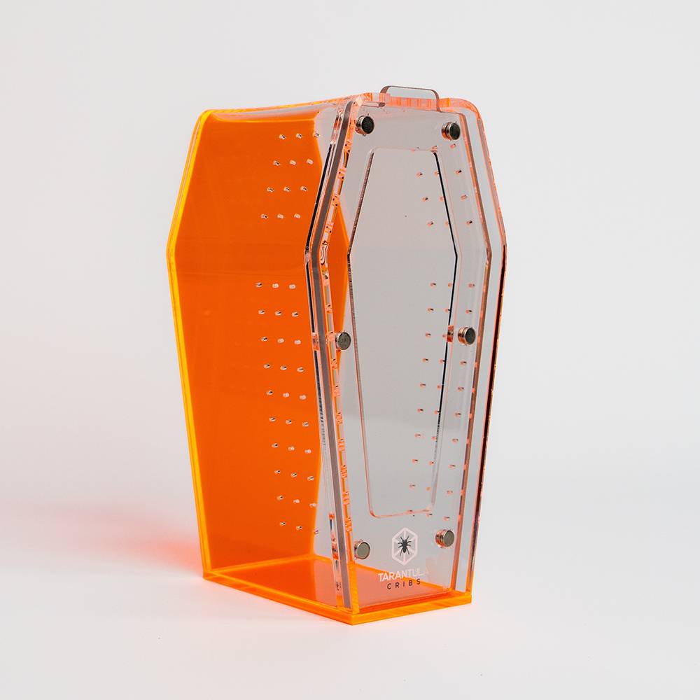 Tarantula Cribs Coffin Mini Orange 6x3x3
