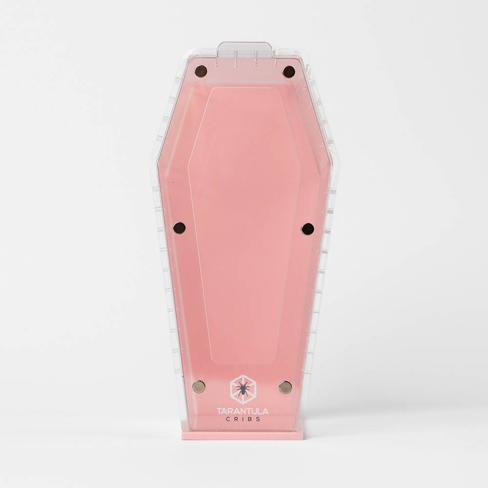 Tarantula Cribs Coffin Mini Pink 6x3x3